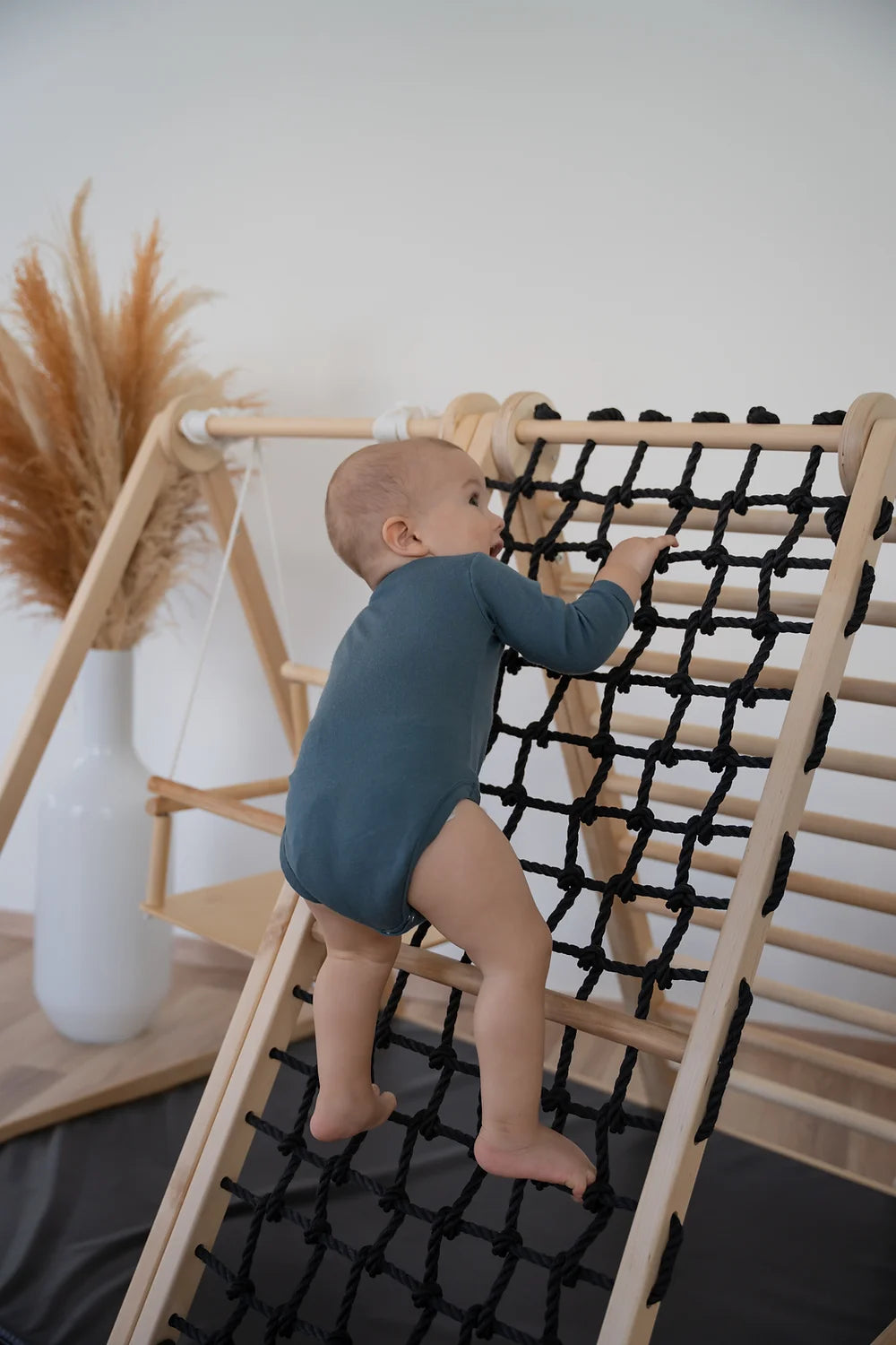 Cliff Pro Climbing Frame