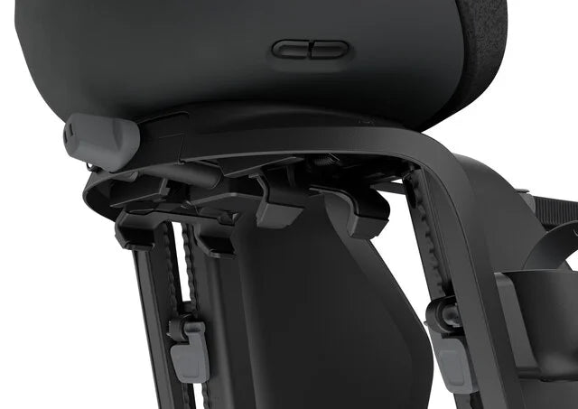 Thule Yepp Nexxt Maxi bike chair
