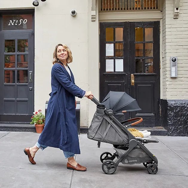 Ergobaby Metro+ Deluxe